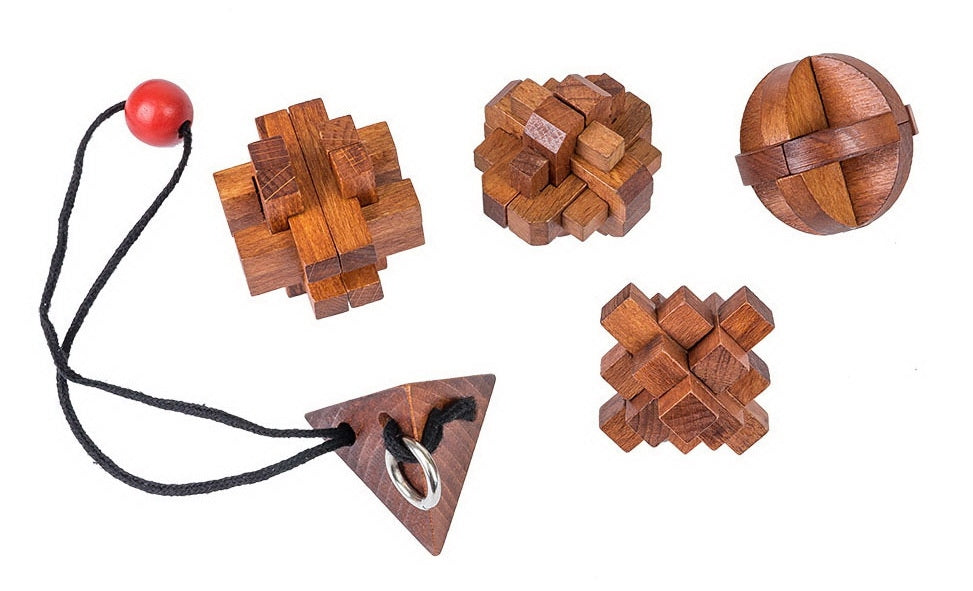 SET LEGNO 5 IN 1 - GRANDI CERVELLI - GRANDI DONNE