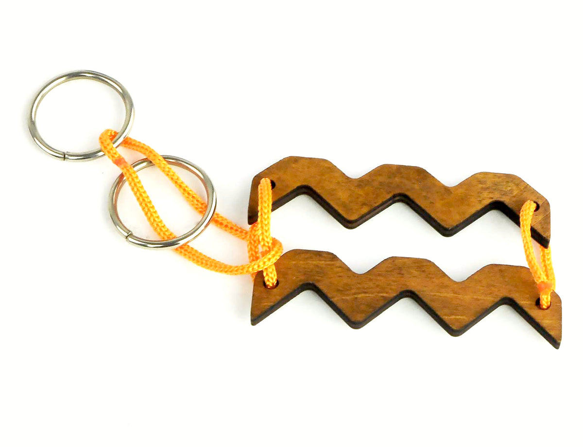ZODIAC AQUARIUS - AQUARIO
