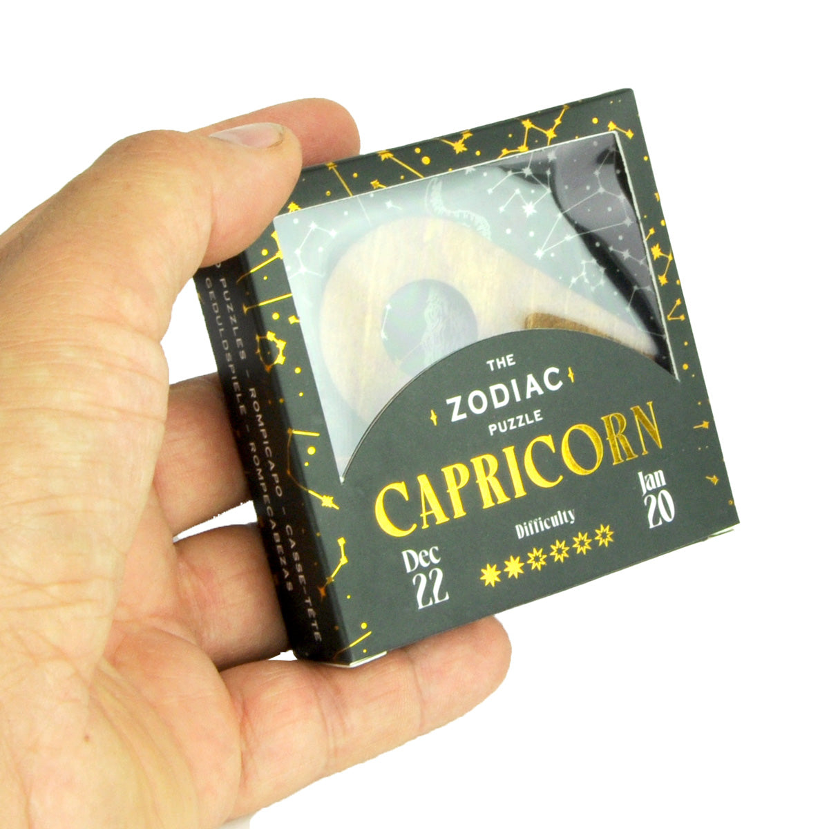 ZODIAC CAPRICORN - CAPRICORNO