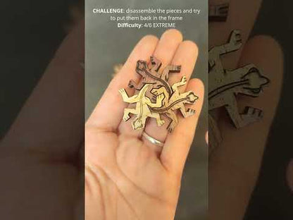 TERRARIUM MINI