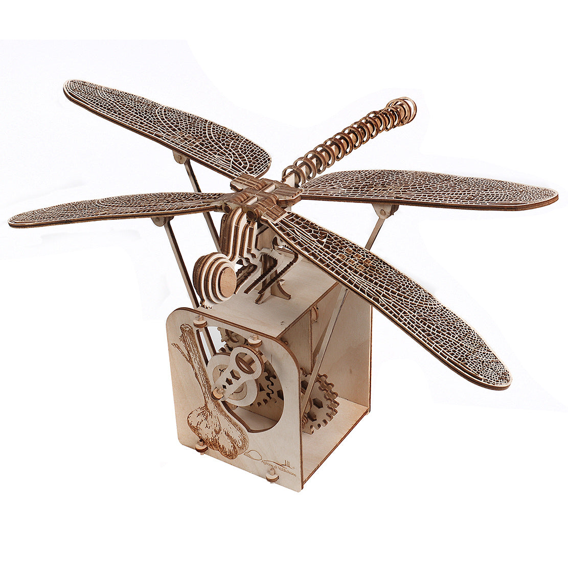 LIBELLULA DI LEONARDO DA VINCI