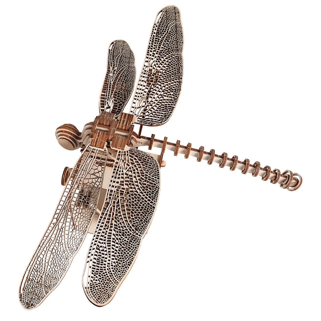 LIBELLULA DI LEONARDO DA VINCI