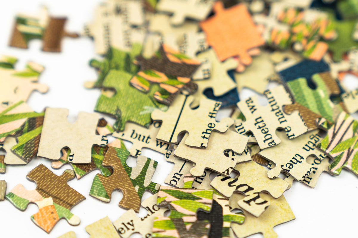 LA LIBRERIA DEI PUZZLES - ORGOGLIO E PREGIUDIZIO