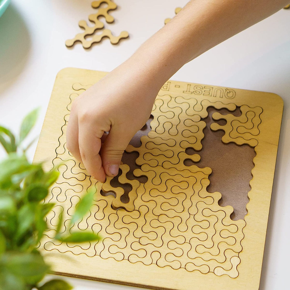 QUEST PUZZLE