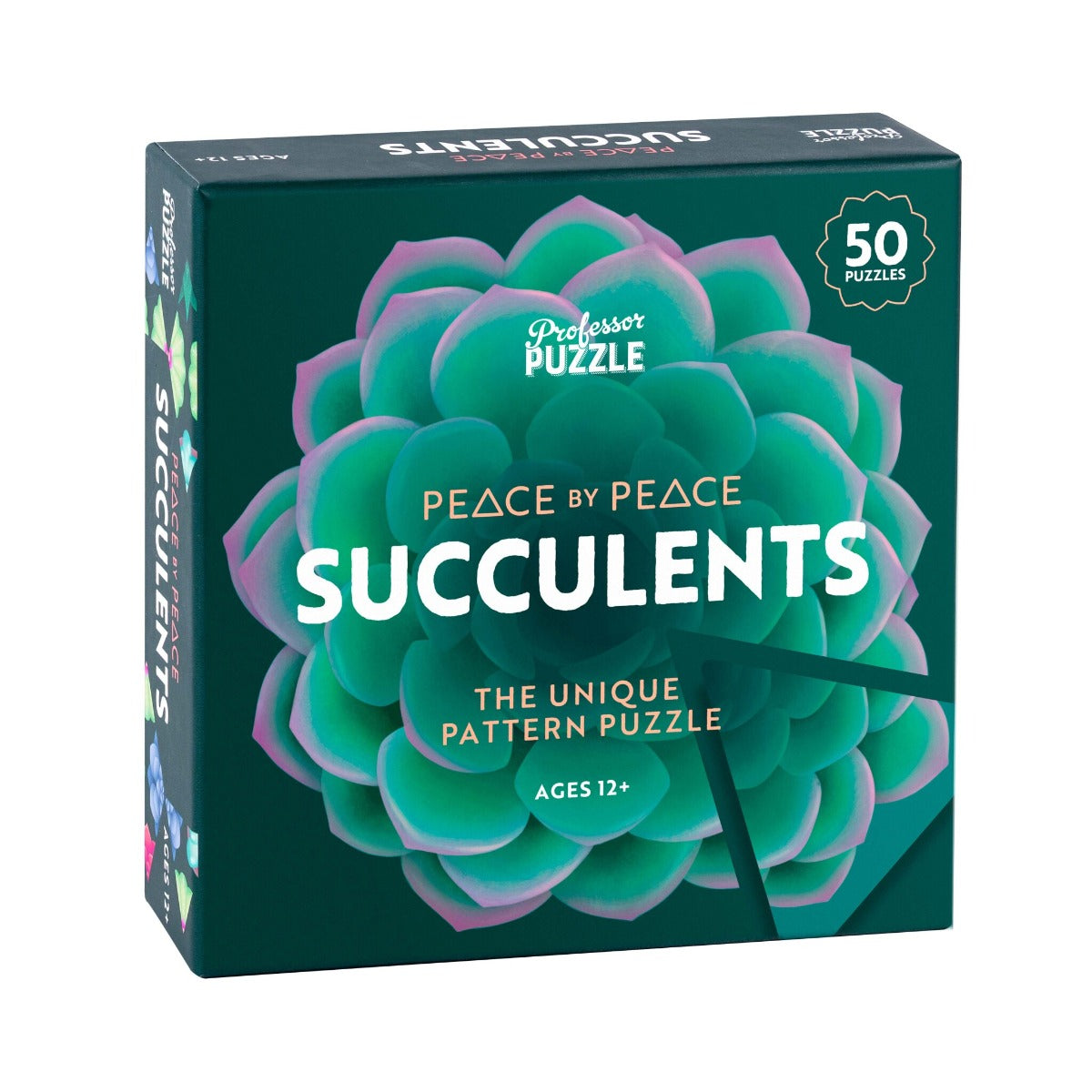 PEACE BY PEACE: SUCCULENTS - PEZZO PER PEZZO: LE SUCCULENTE