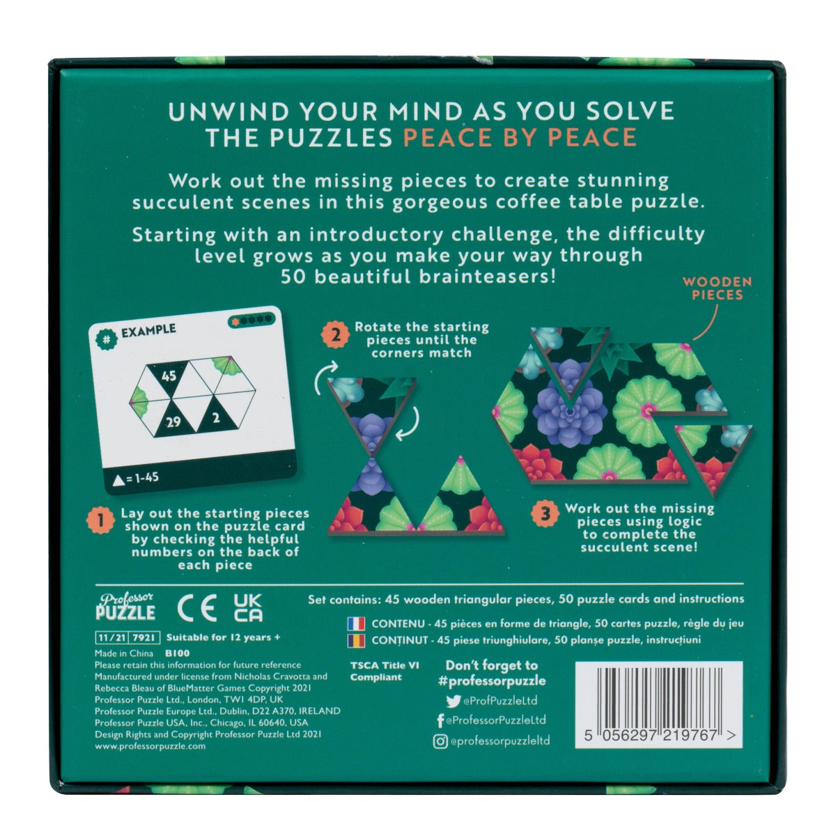 PEACE BY PEACE: SUCCULENTS - PEZZO PER PEZZO: LE SUCCULENTE