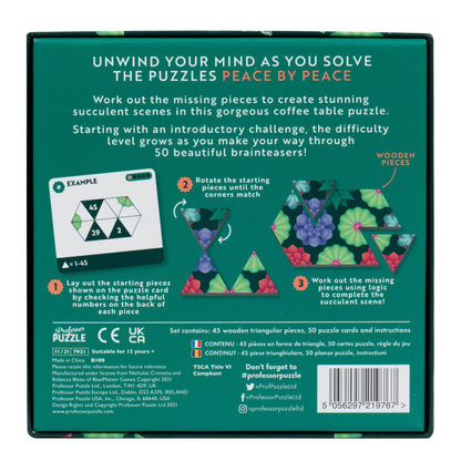 PEACE BY PEACE: SUCCULENTS - PEZZO PER PEZZO: LE SUCCULENTE