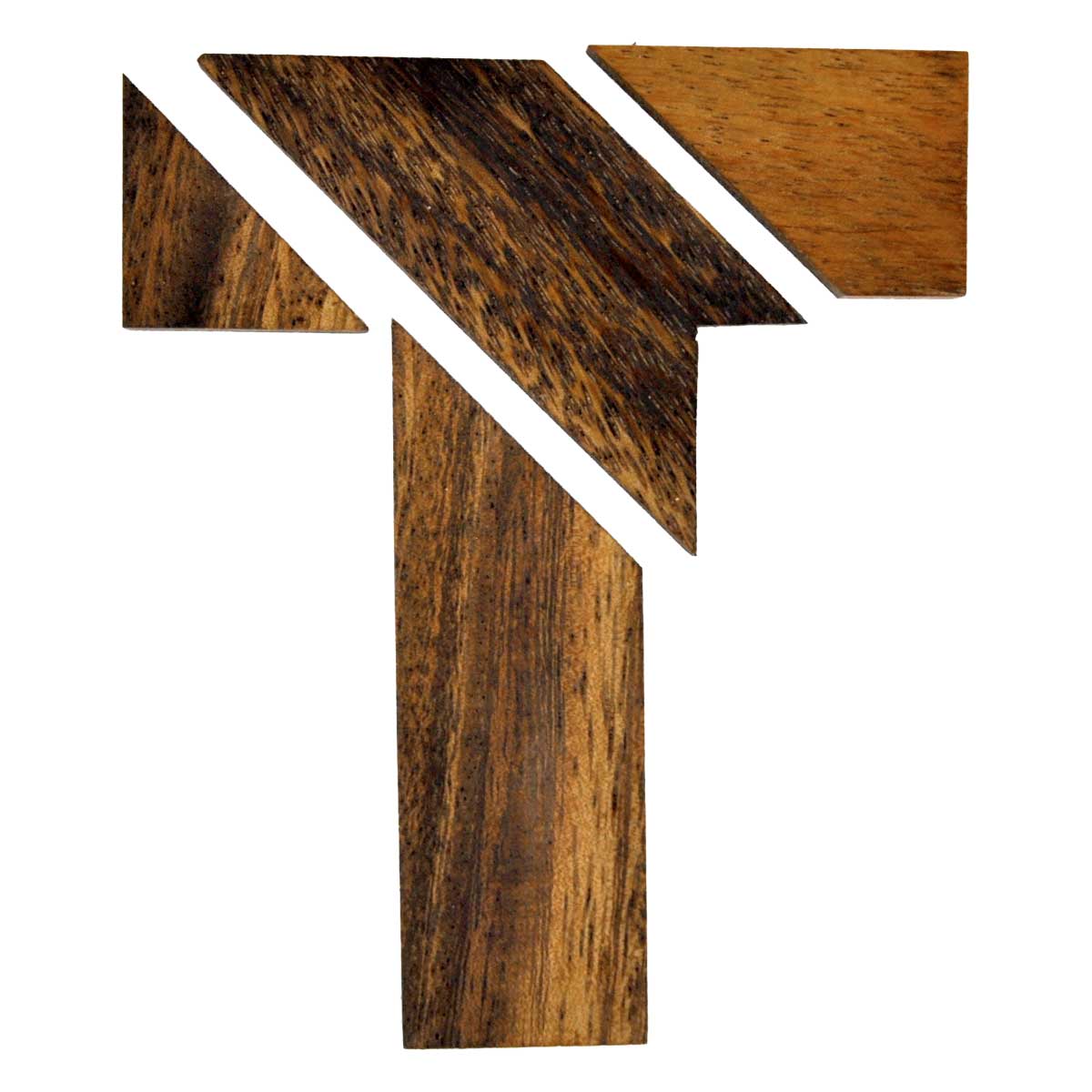 T PUZZLE - 100 GIOCHI IN 1