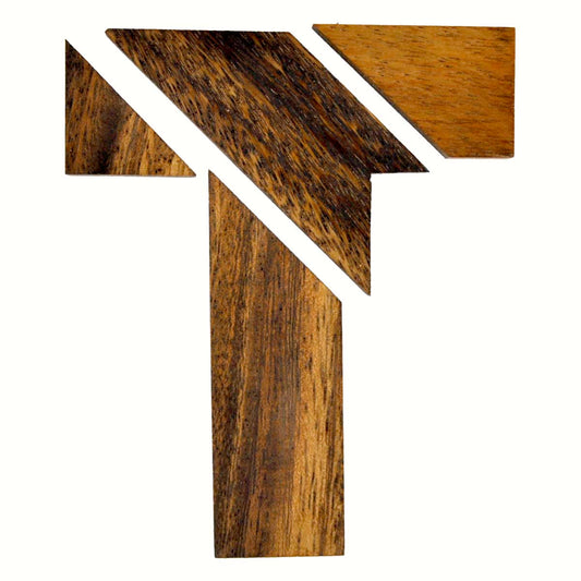 T PUZZLE - 100 GIOCHI IN 1