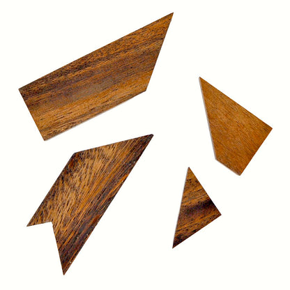 T PUZZLE - 100 GIOCHI IN 1