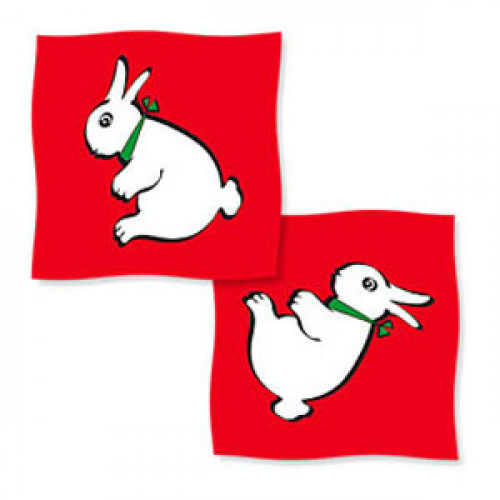 Foulard coniglio-papera - Cm 45 x 45 - ROSSO